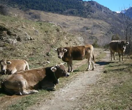 Fontalba Queralbs